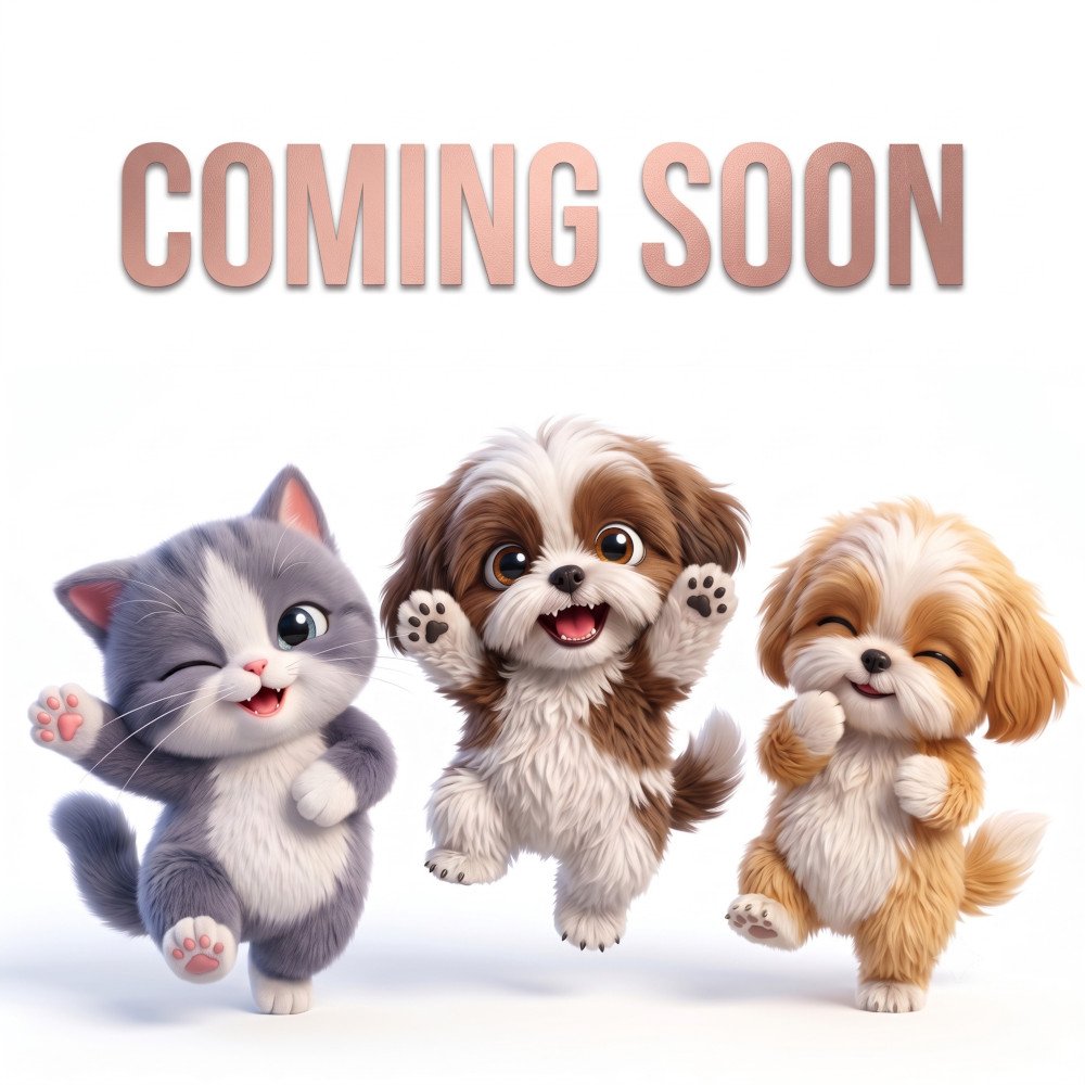 Promo Coming Soon